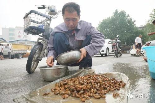 吃瓜大队沂水,揭秘当地特色美食与风土人情