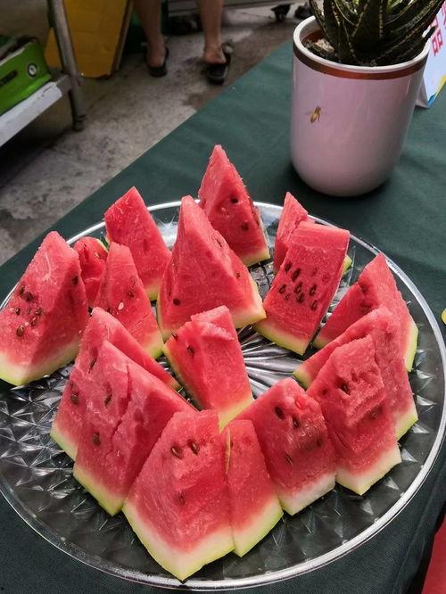 重庆吃瓜故事,麻辣鲜香里的市井百态