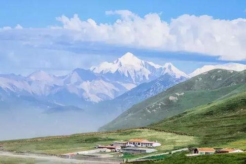 神山下吃大瓜,大瓜盛宴尽享田园风光