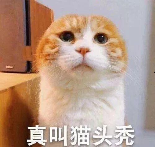 坐等吃大瓜好吗