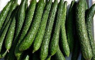 吃暖瓜减肥吗,美味与健康的完美结合