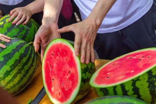 鱼哥吃瓜,揭秘娱乐圈那些不为人知的幕后故事