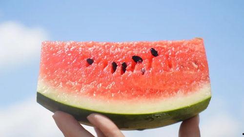 吃瓜徐猫藓,揭秘网络红人的幕后故事