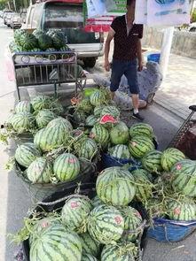 南京本地吃瓜事件,一场本地吃瓜事件的全民热议