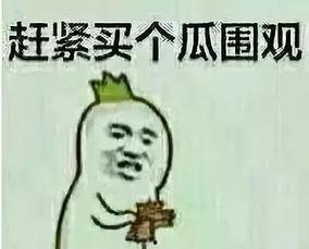 卖瓜和吃瓜的群众对话,群众对话中的智慧火花