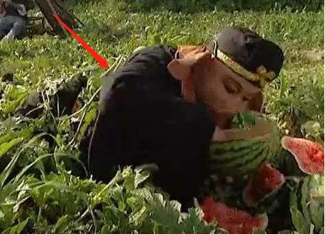 大学吃瓜产子,揭秘校园里的温馨故事