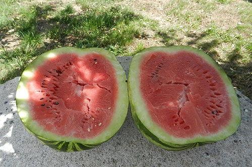 梦见姑娘买瓜吃瓜,姑娘买瓜吃瓜的神秘寓意