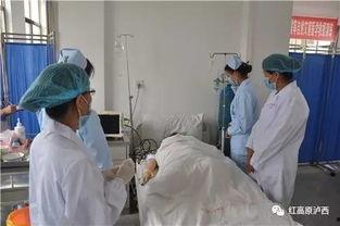 滨州吃瓜住院事件,一场意外引发的医疗风波